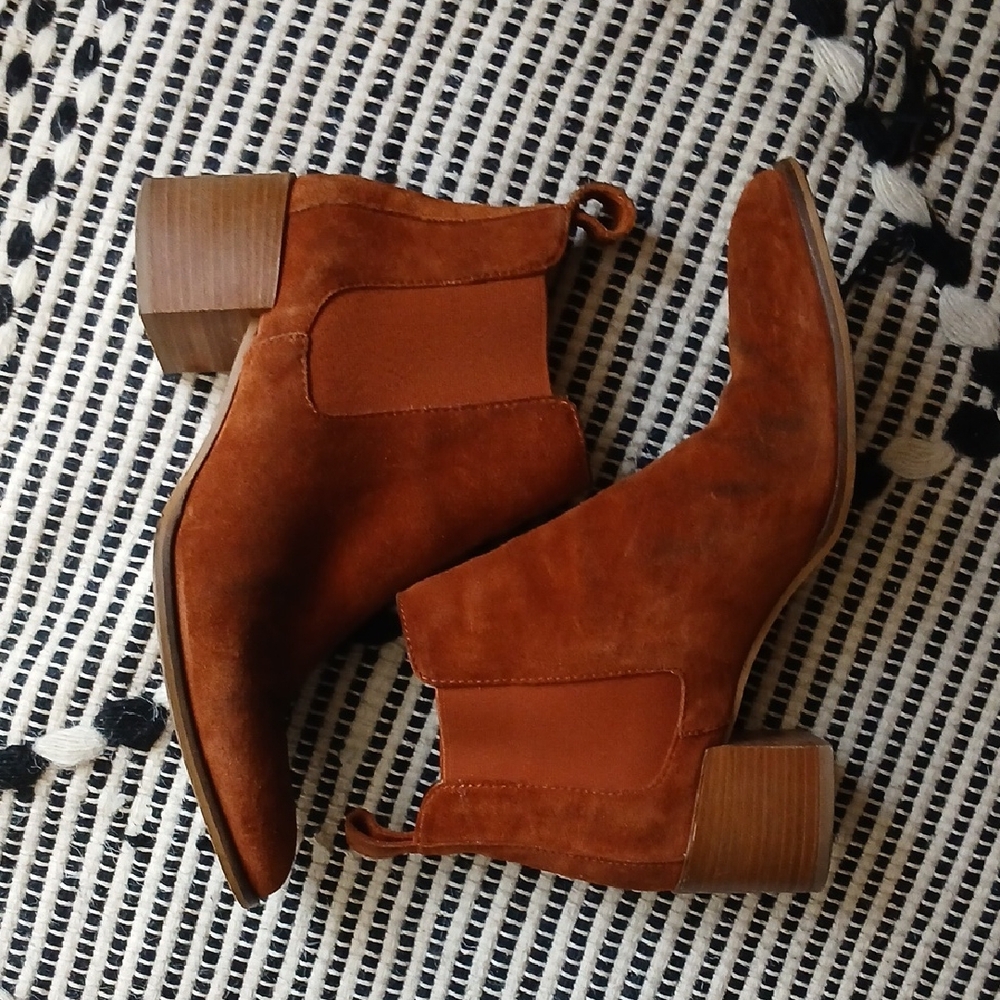 Everlane Rust Suede Chelsea Booties